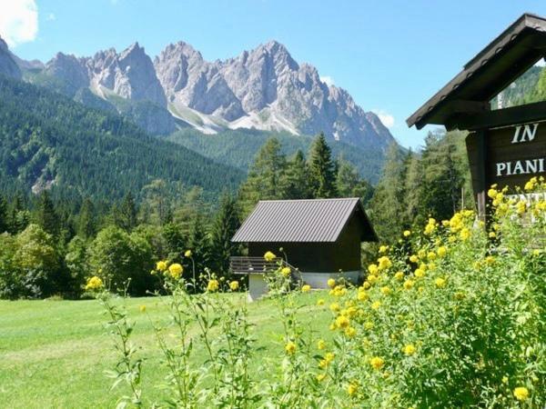 Albergo Piani Di Luzza Forni Avoltri Buitenkant foto